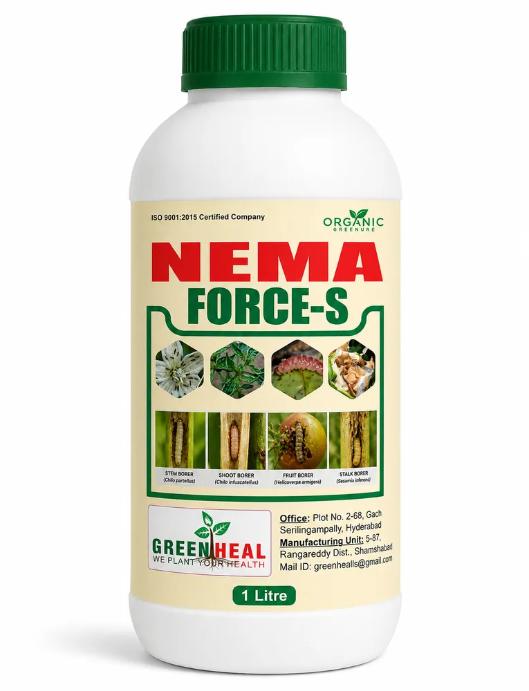Nema Force S 1 L pack