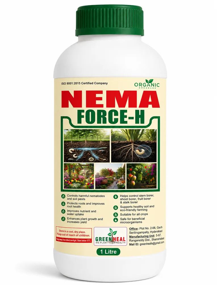 Nema Force H 1 L pack